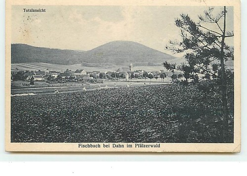 Fischbach bei dahn - fischbach, im